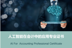 AI for accounting professional certificate